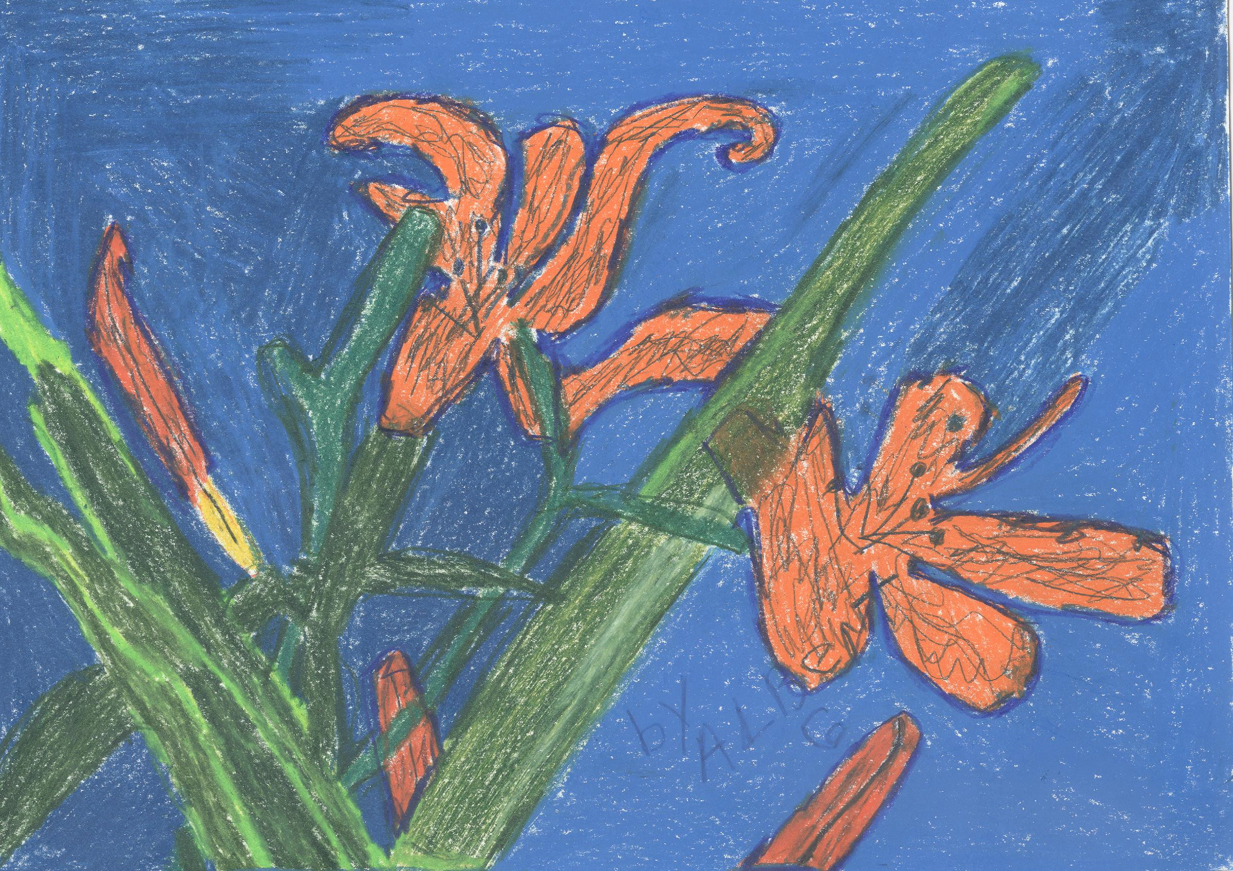 Roadside Lilies