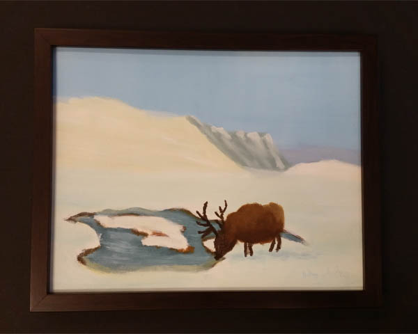 Thirsty Elk