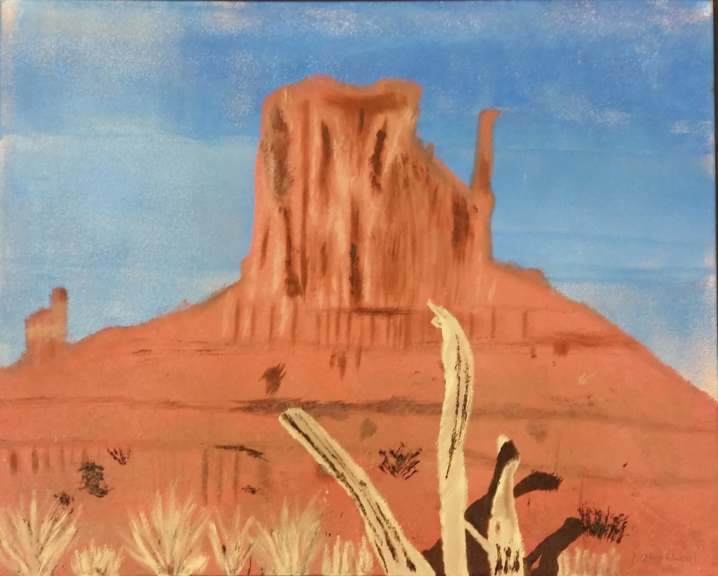 "Sunny Desert" VSA 2018 State Tour