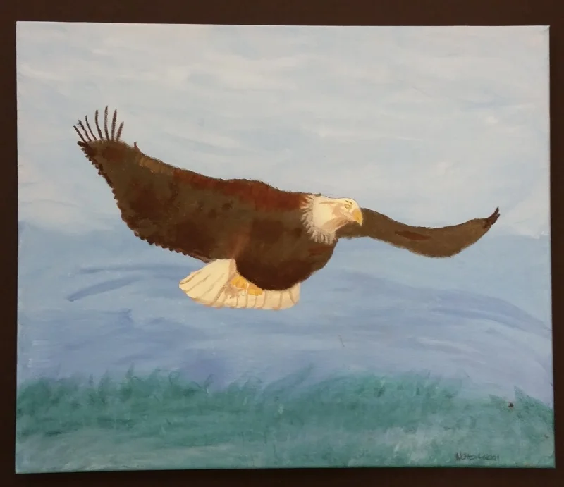 "The American Bird" - not available