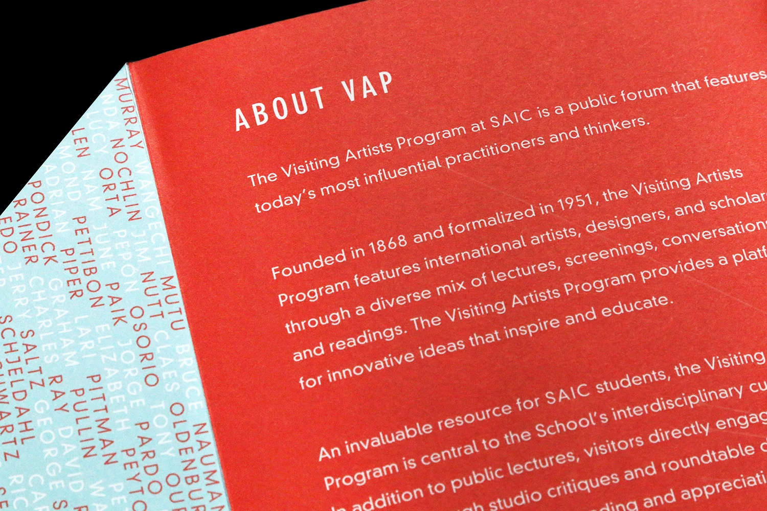 VAP_About_VAP_Detail.jpg