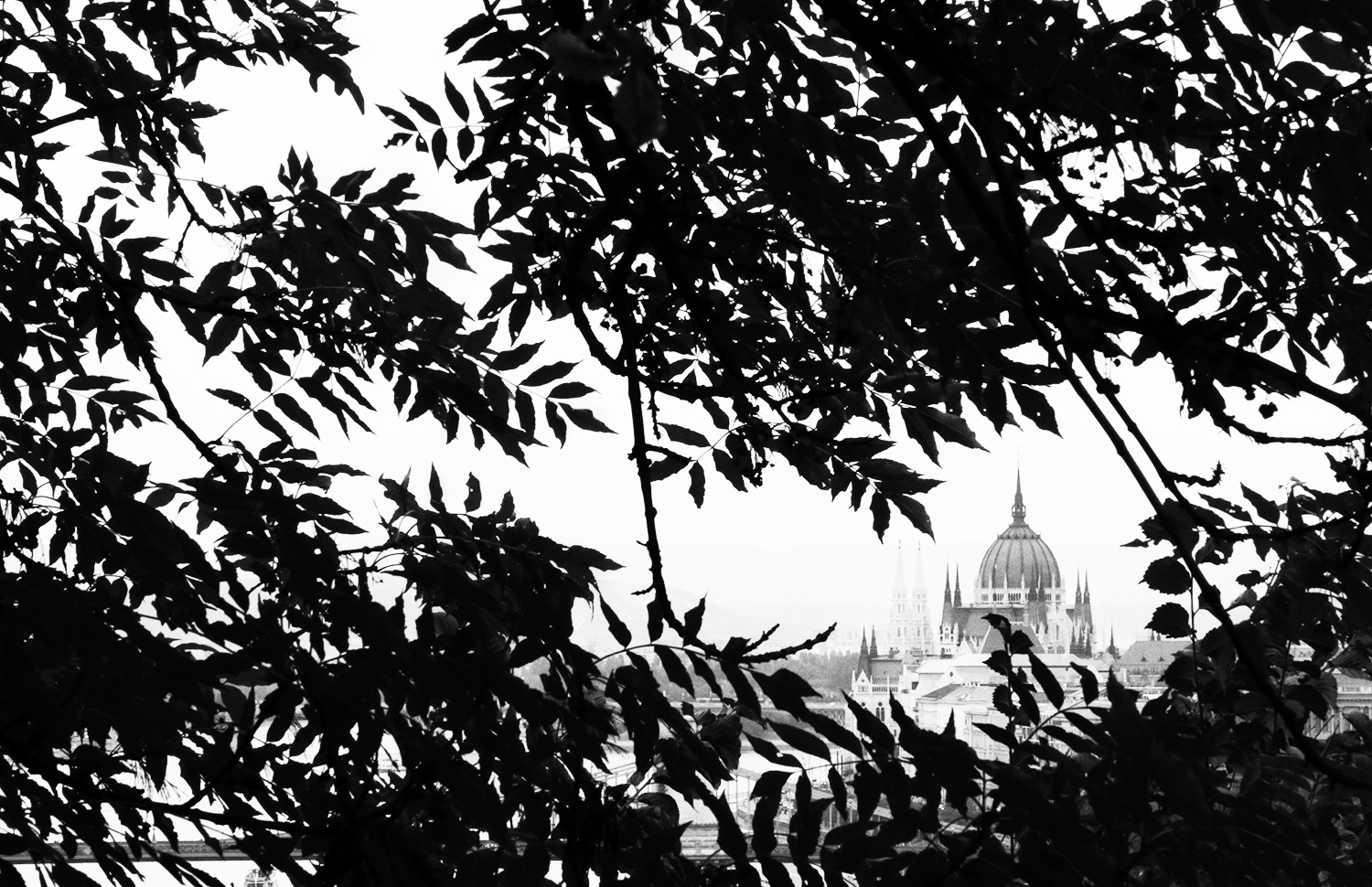 IMG_2339 copy_B&W_V2_Small.jpg