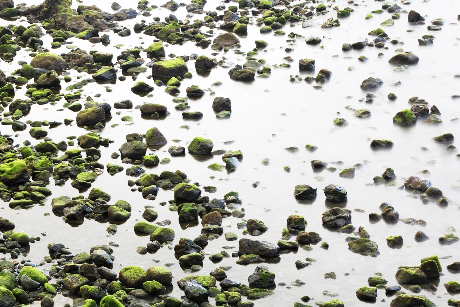 Azores_Texture_1500.jpg