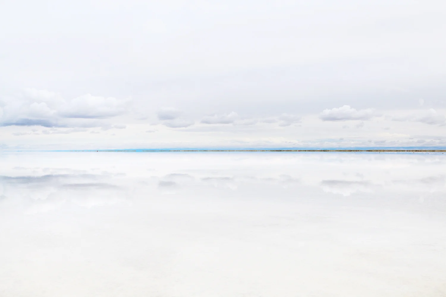 Bonneville_Texture_1500.jpg