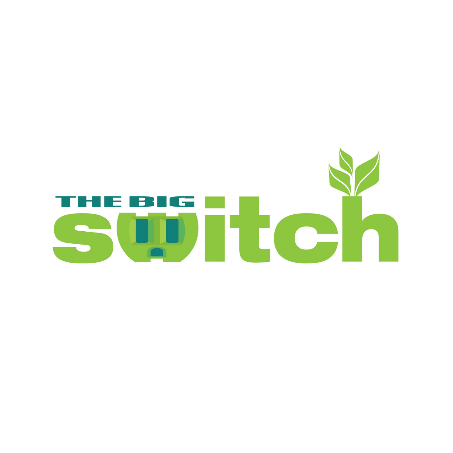 The Big Switch Logo