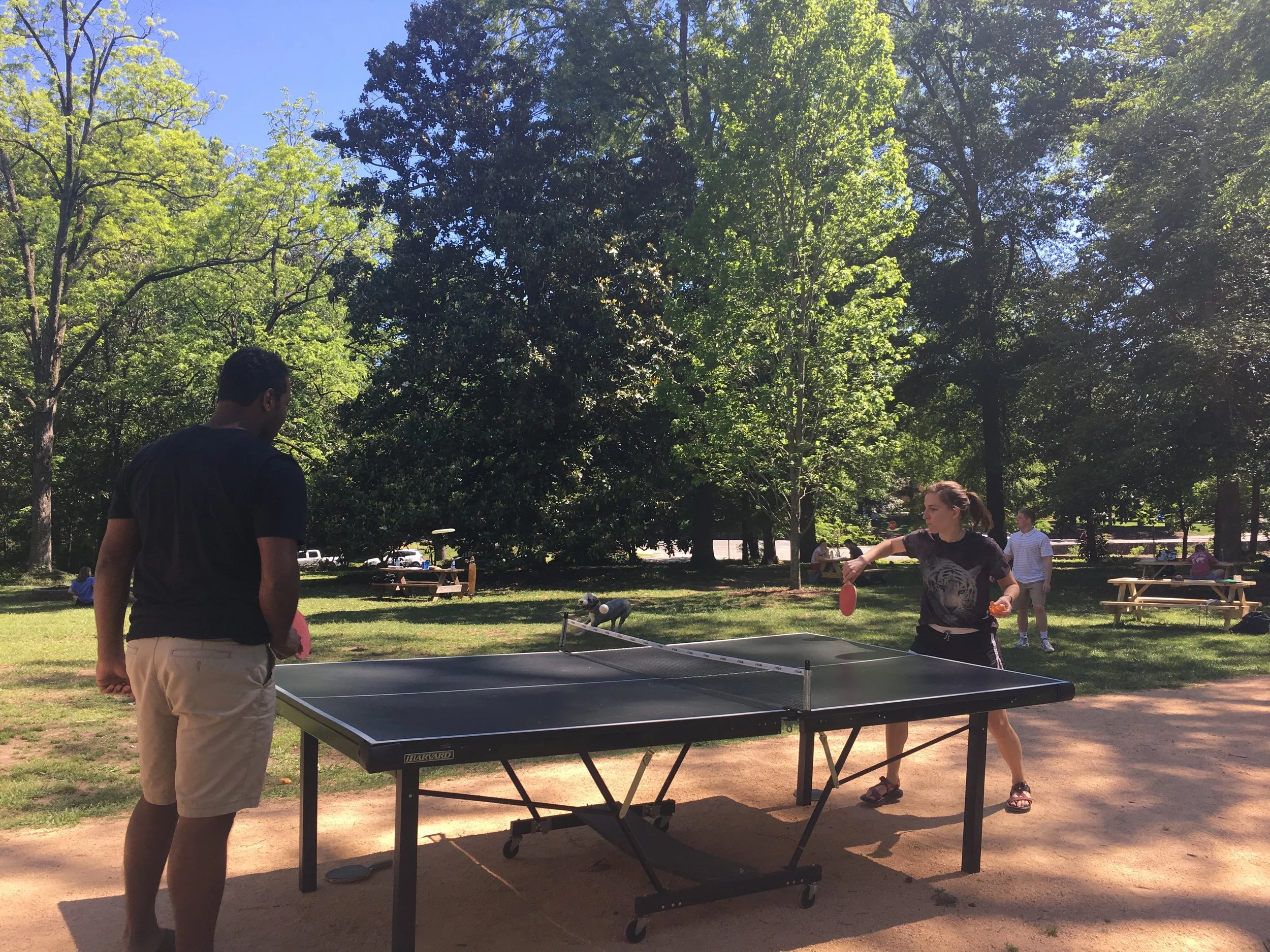 We moved our ping-pong table outside during exams this year and it was a popular addition.