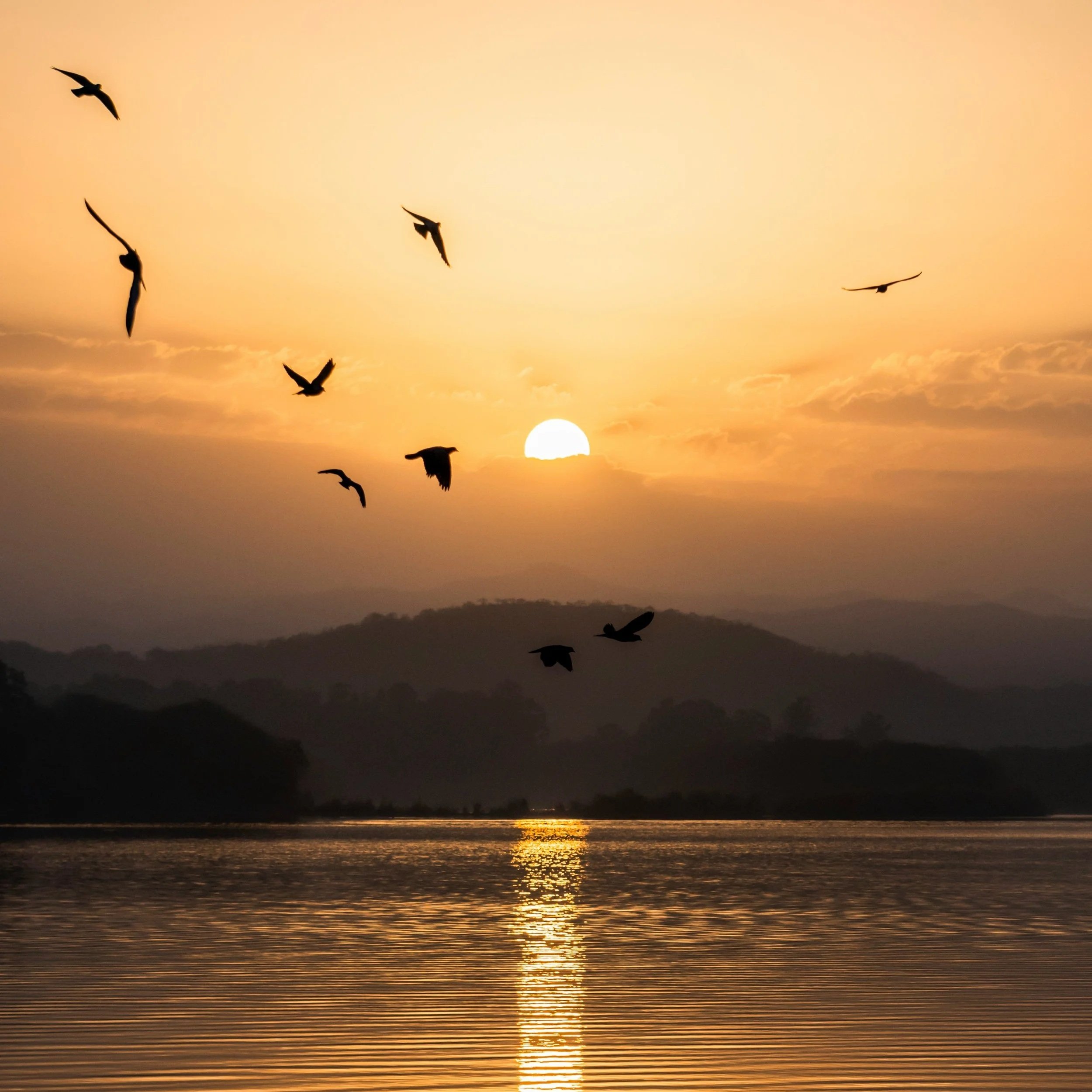 Waking Up to God's World: Seeing the Wonder of Creation with Brian Brock