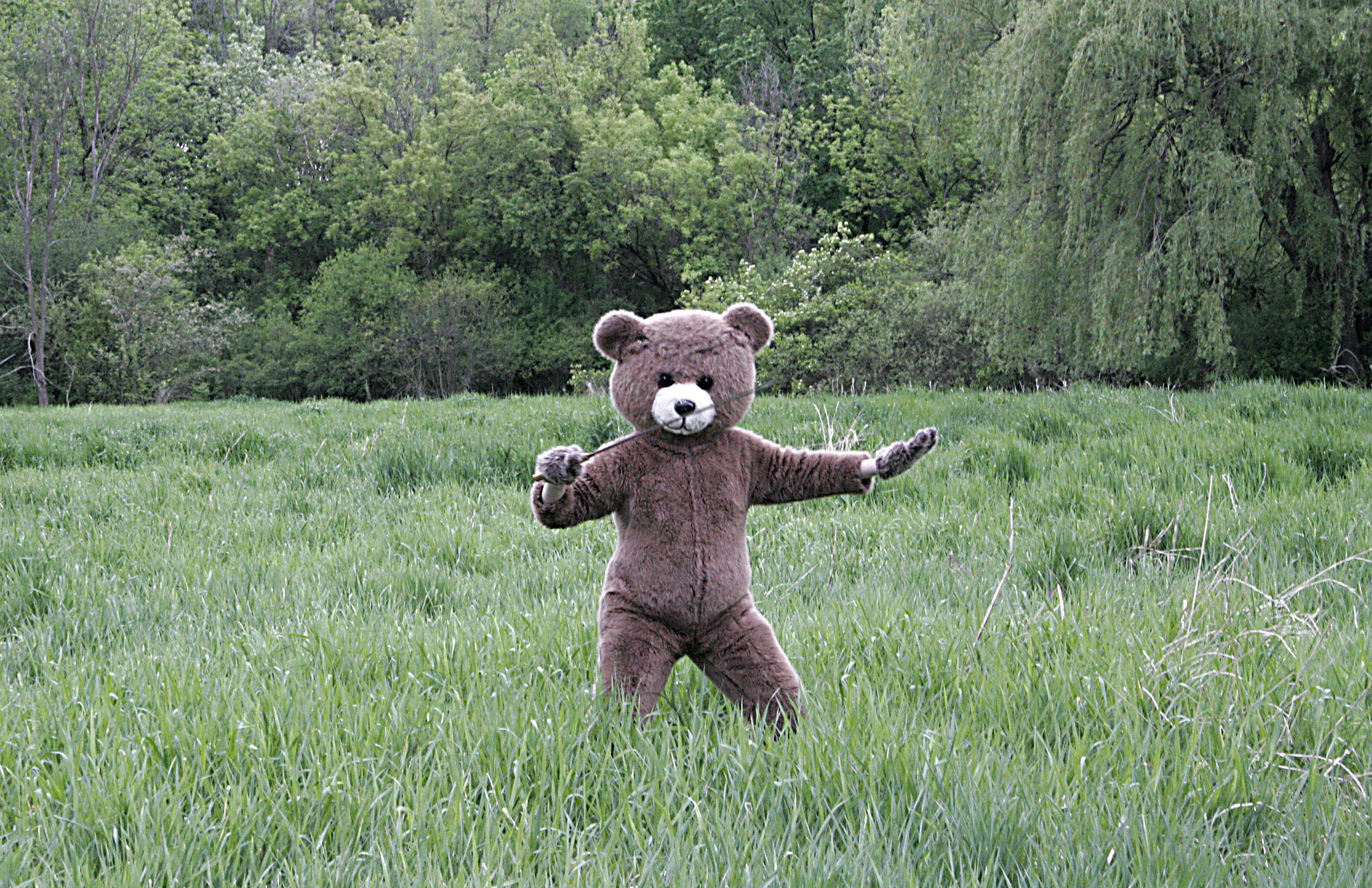zenbear.jpg
