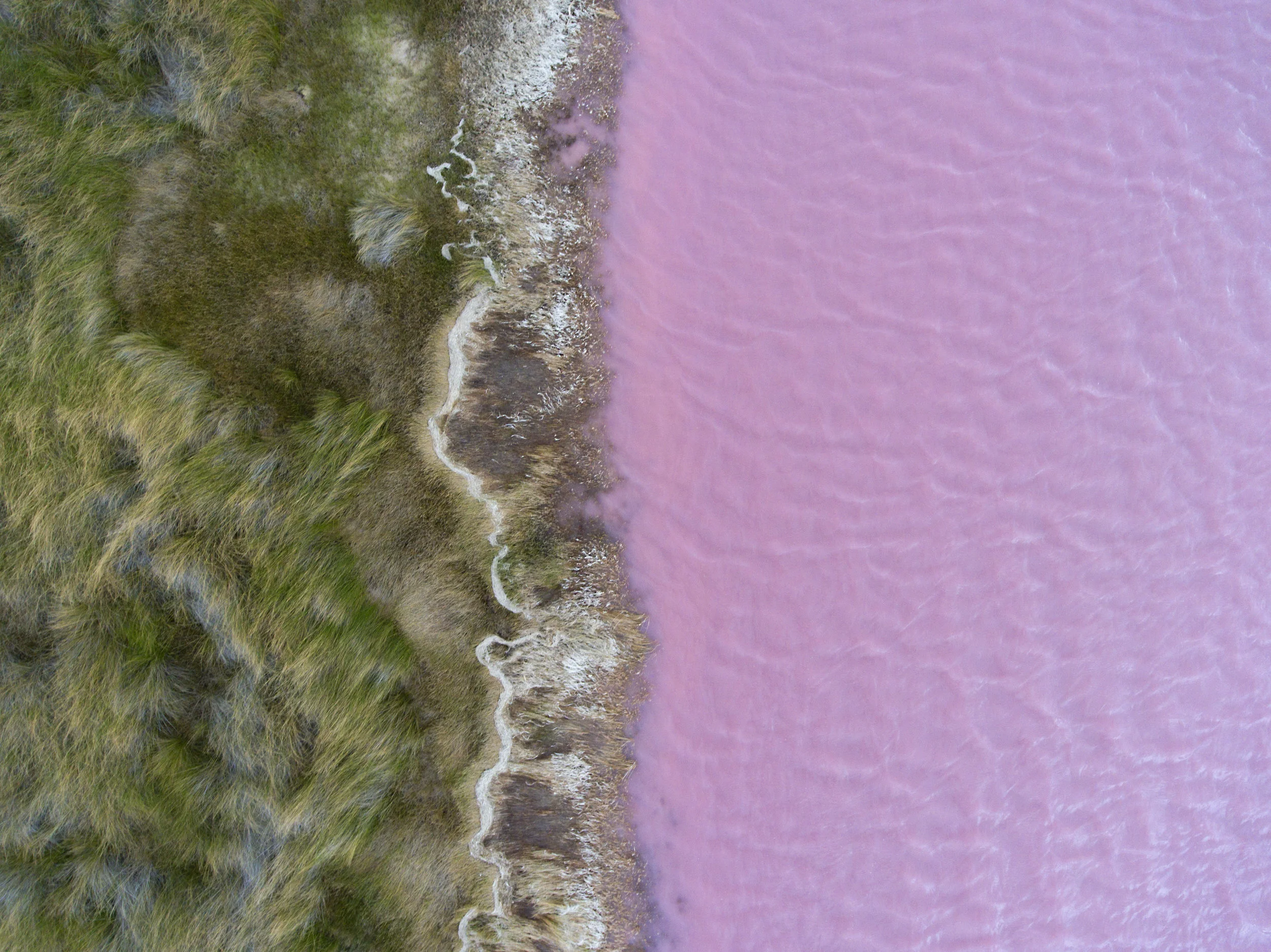 pinklake2.jpg