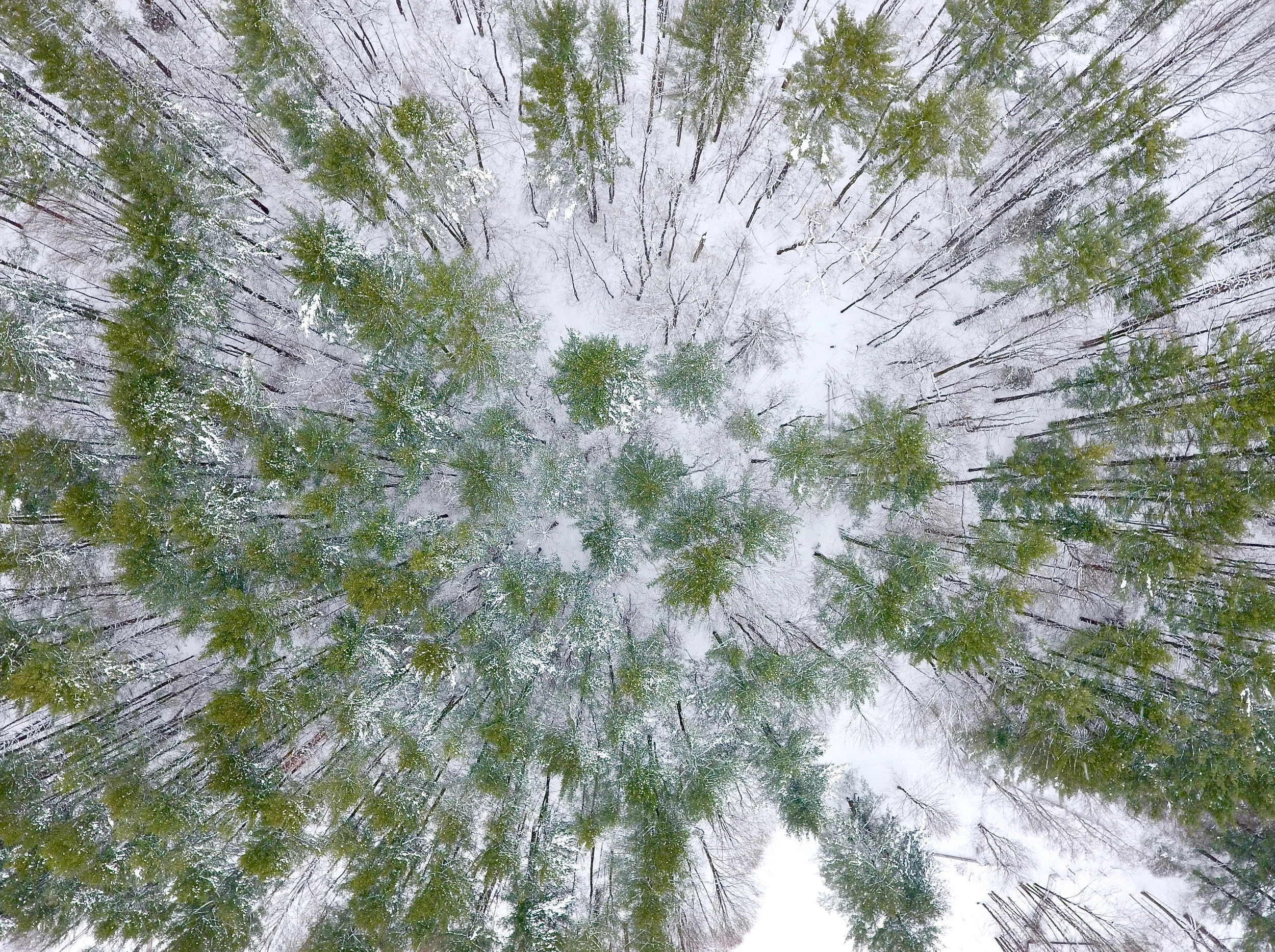 DJI_0414.jpg