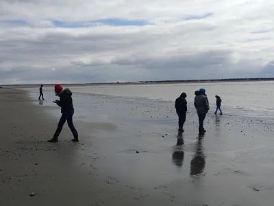 Kenai Beach.