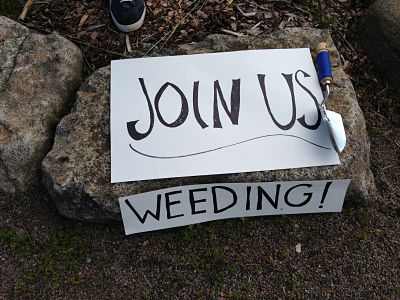 Volunteering and dancing at Harbor Park in Grand Marais