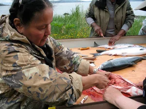 Salmon Brings us Together