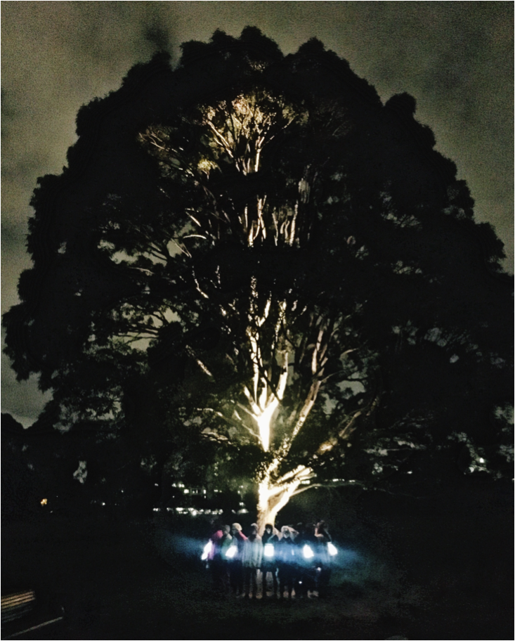 Photography by wāni