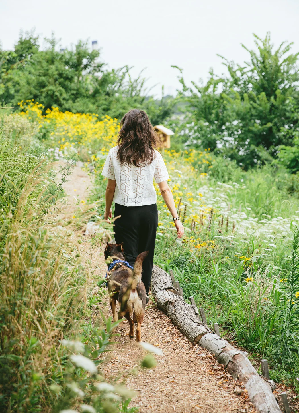 Ms. Johnson and her dog Spicer on Randall’s Island. Credit Tawni Bannister for The New York Times