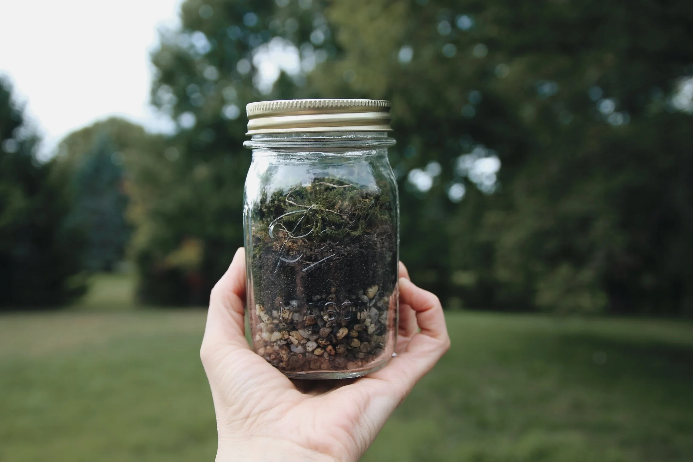 moss_terrariums_this_little_hill.jpg