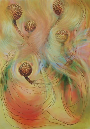 Seeds