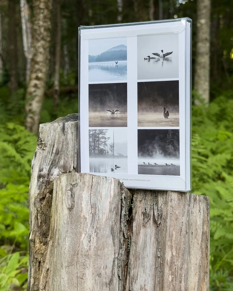 card-set-adk_3b.jpg