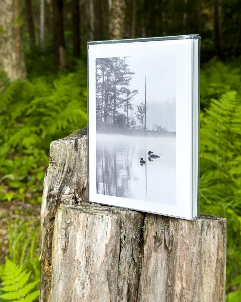 card-set-adk_3a.jpg
