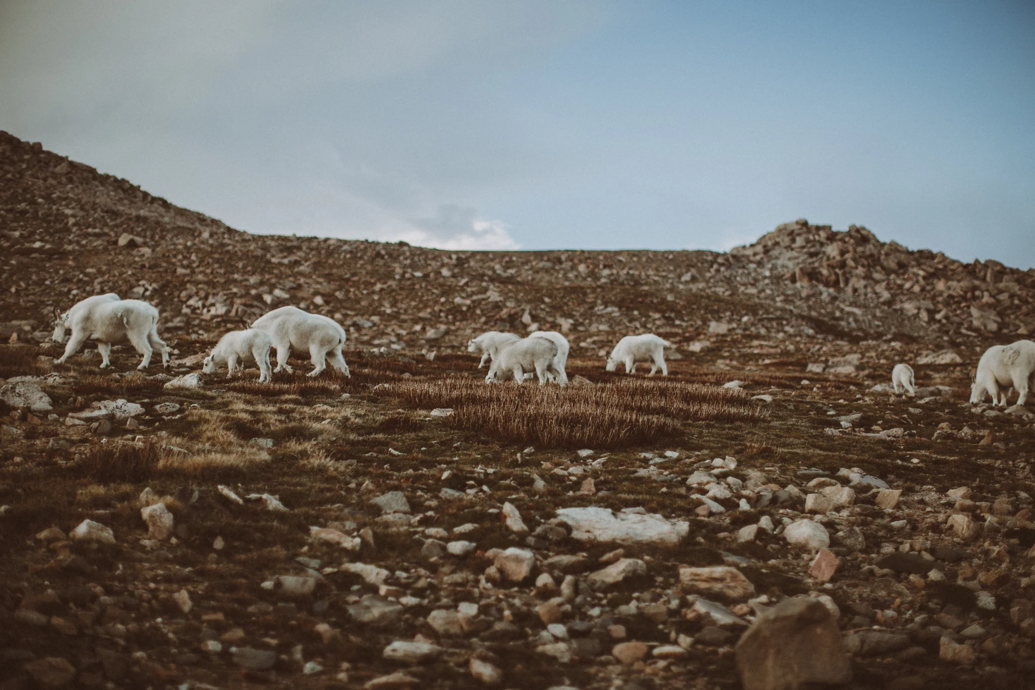 Colorado Mountain Wedding Photographer-5.jpg