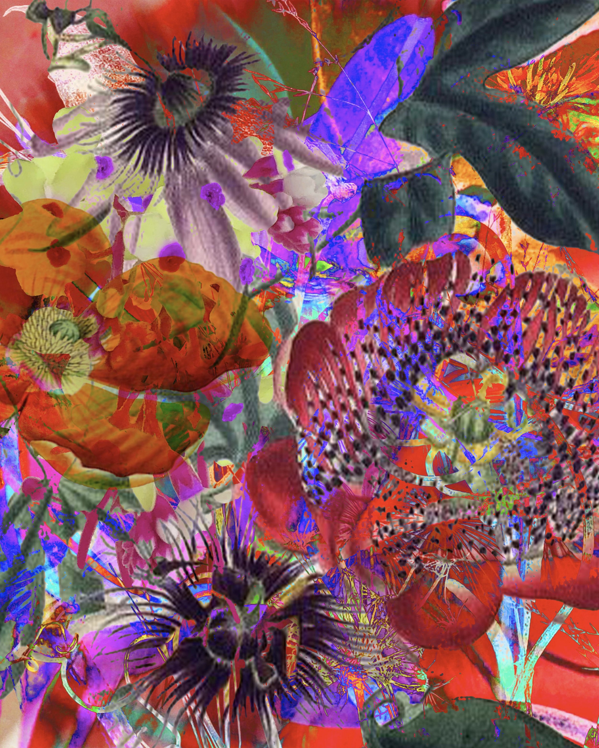 Image 2-16-22 at 5.18 PM.jpg
