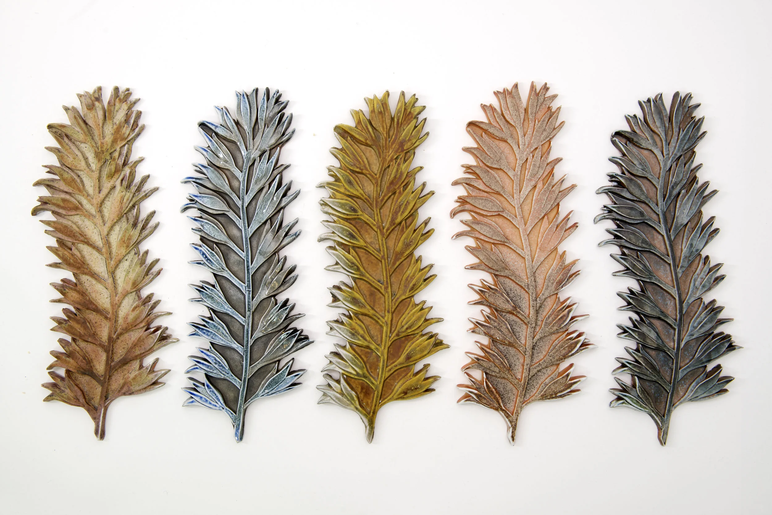 94. Botanical Structures Spikey Plants