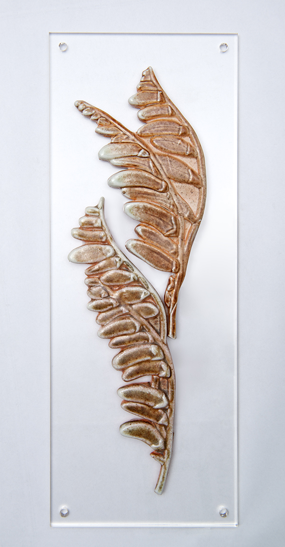 105. Botanical Structures Double feather