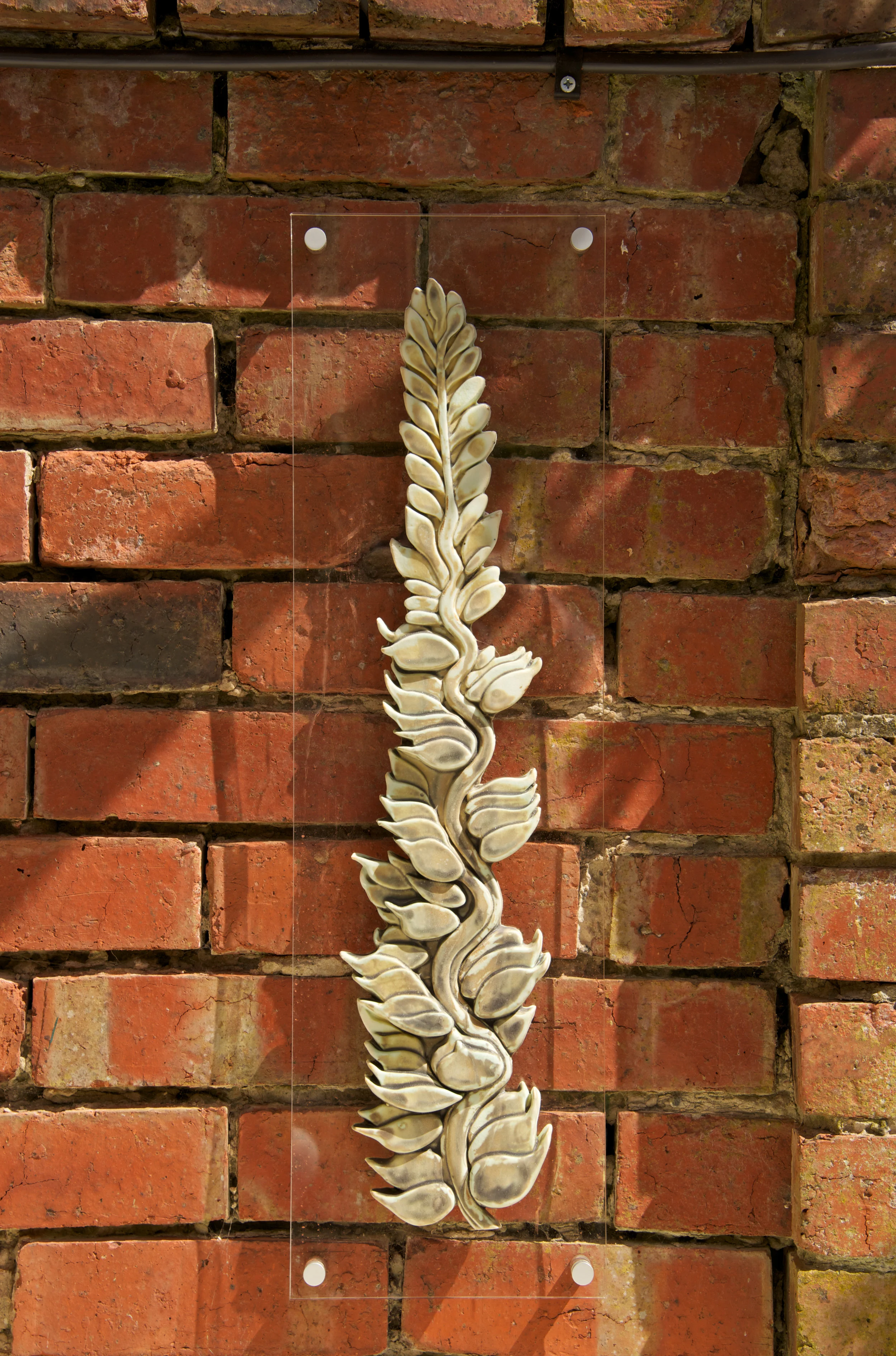 104. Botanical Structures Wheat