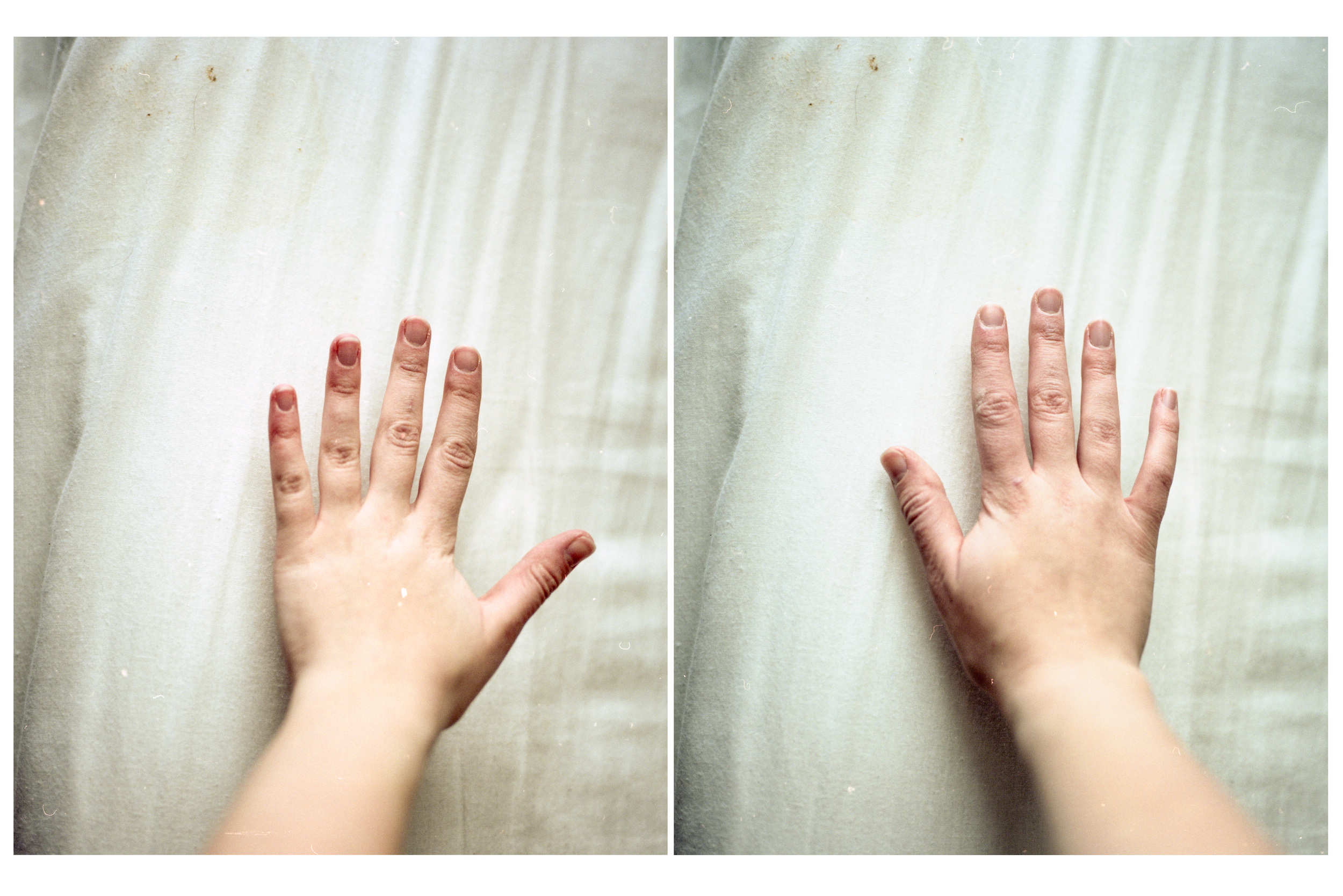 HandsDiptych_1.jpg