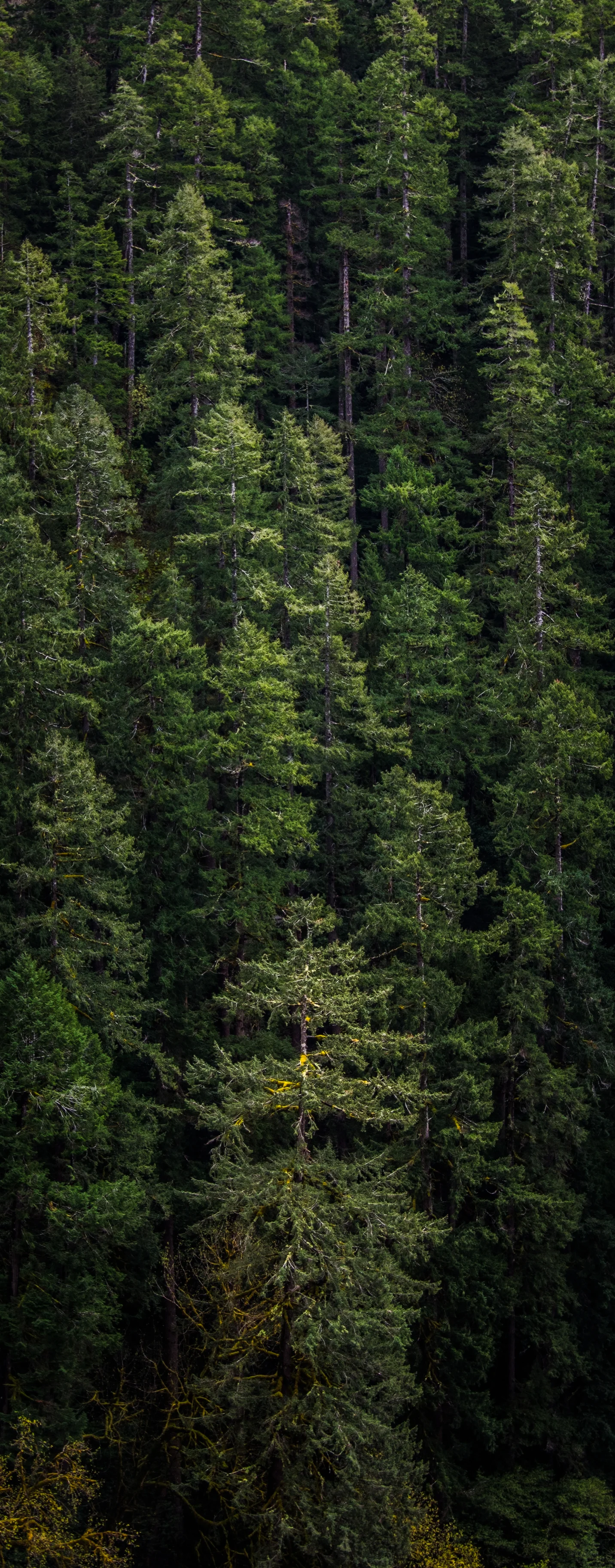 7S9A1307-Edit.jpg