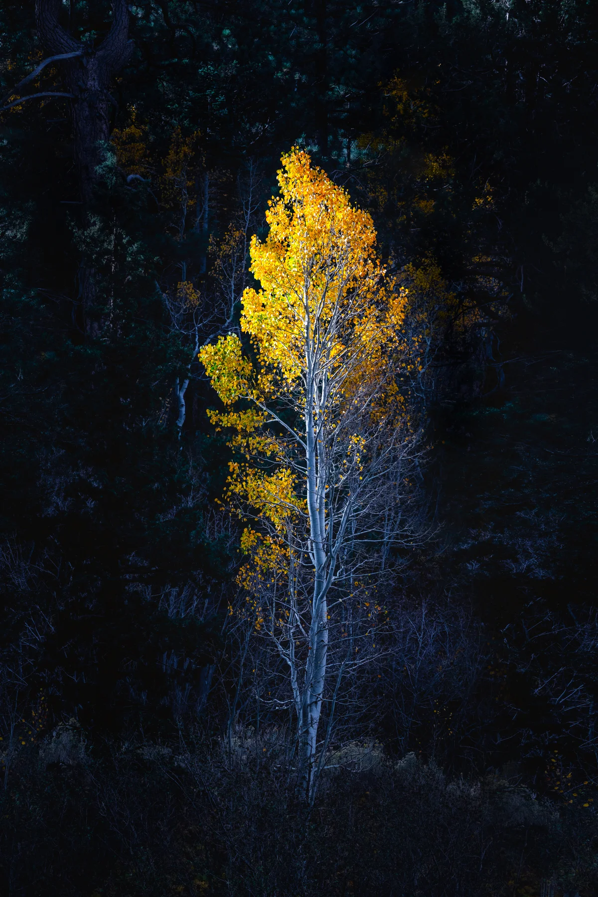 012A4199-Edit-3.jpg