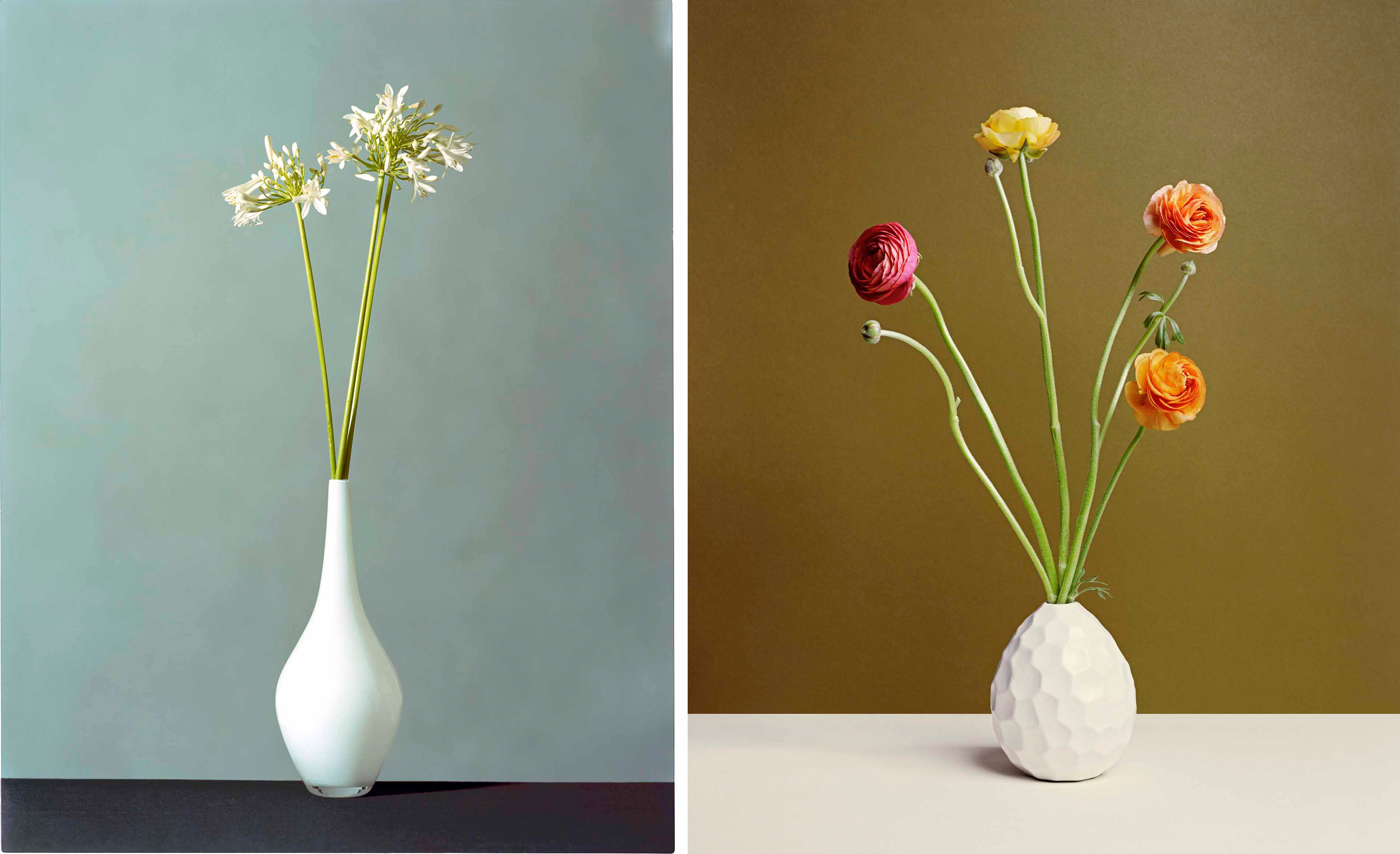 flowerscomp2.jpg
