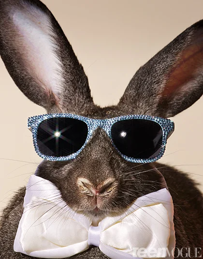 bunnies-in-sunnies-04.jpg