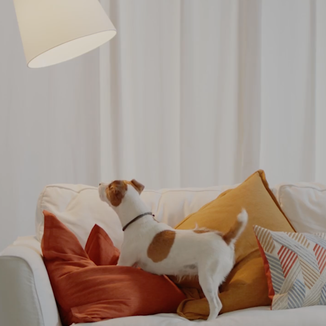 Screen Shot 2017-03-01 at 12.27.43 PM.png