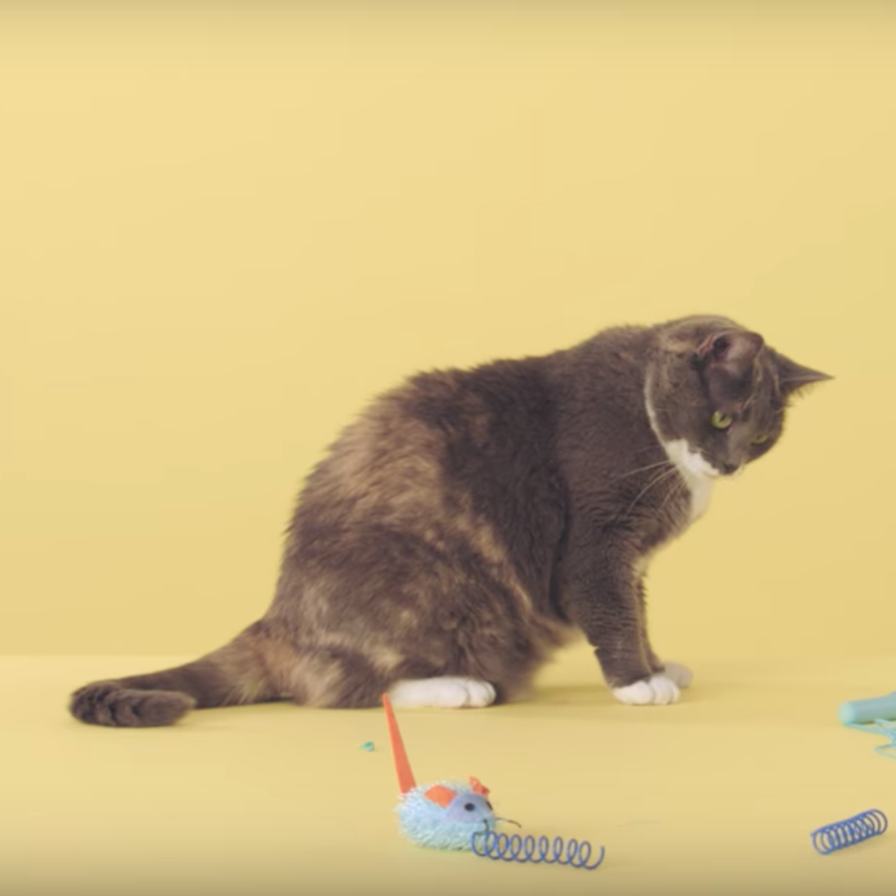 Screen Shot 2017-10-21 at 12.05.09 PM.png