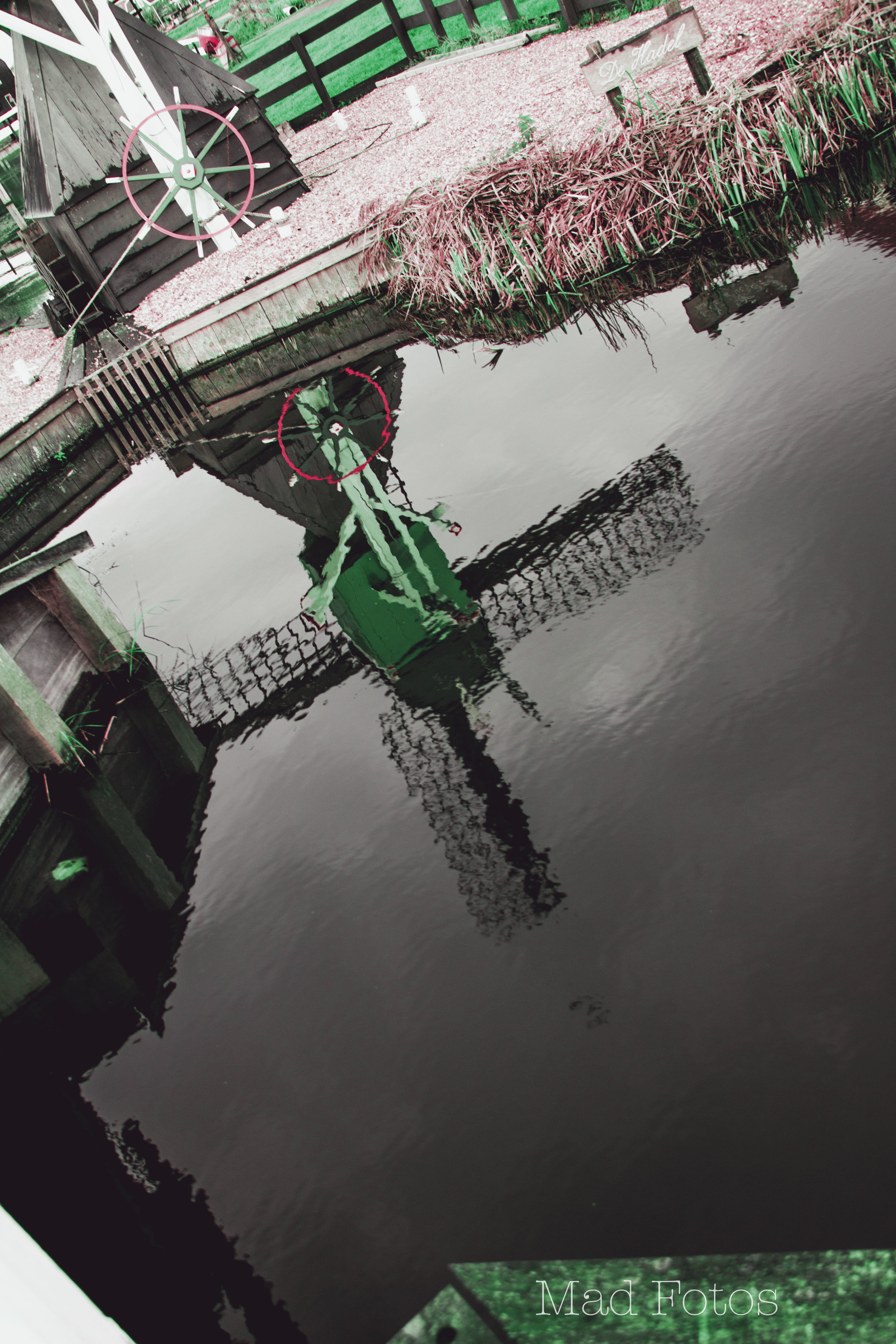windmill reflection.jpg