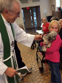 The Blessing of the Animals on October 4, 2014 