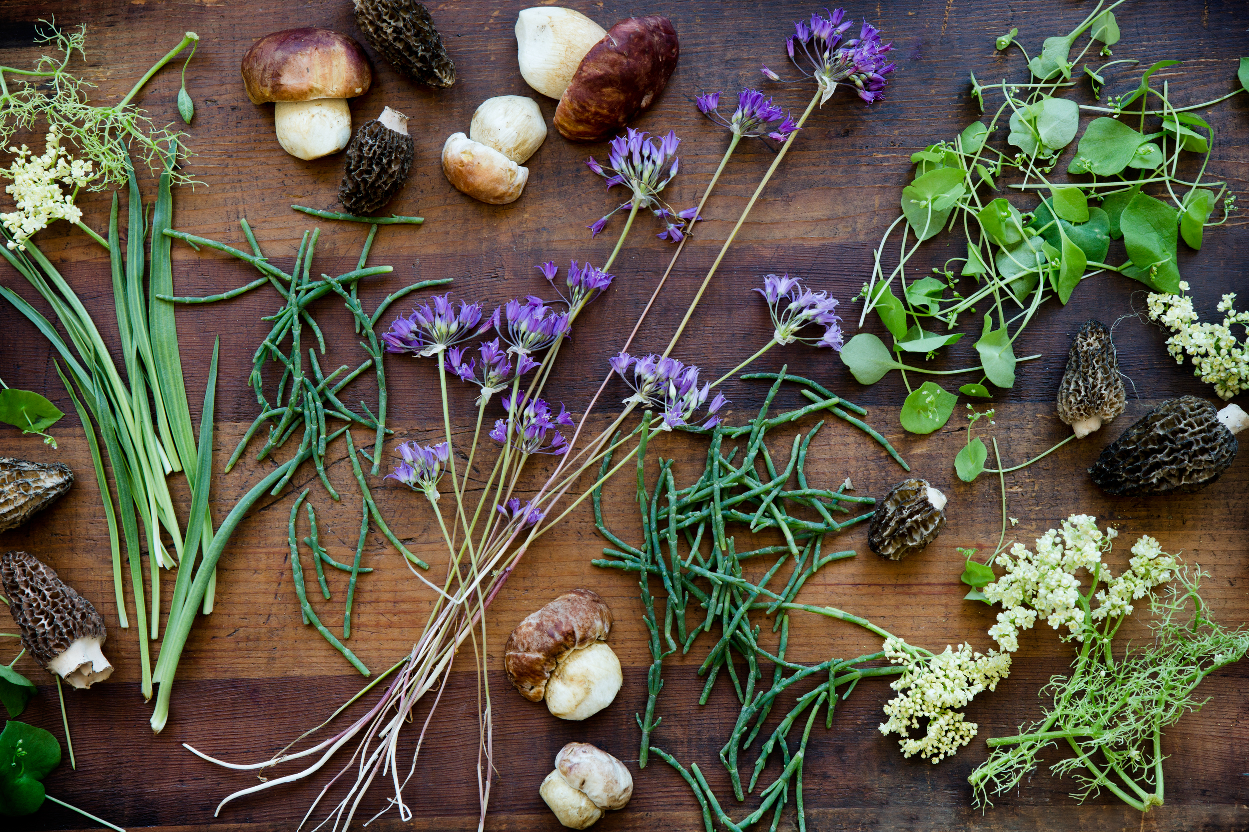foraged.jpg