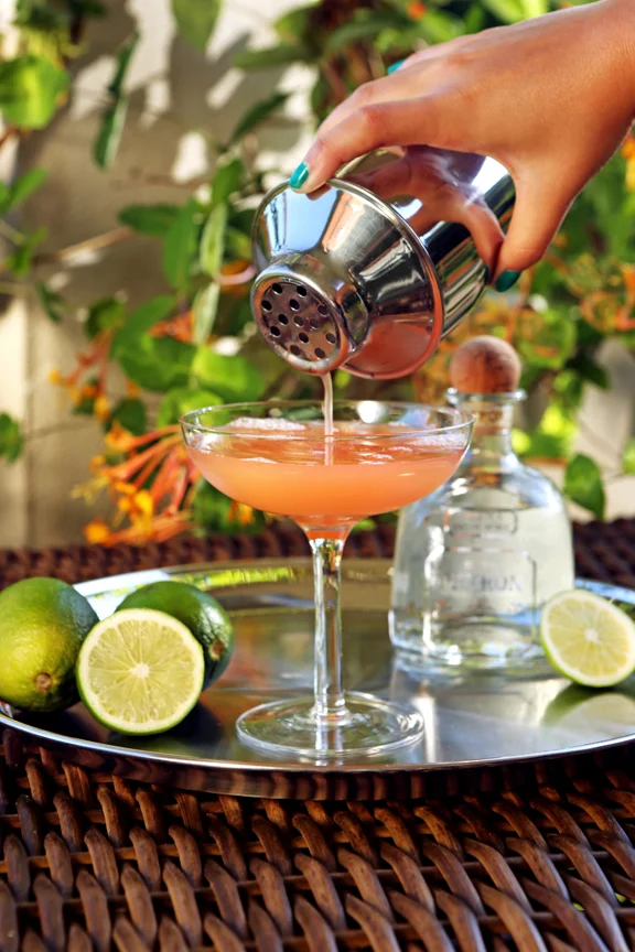 Kriativ_Co_Margarita_Cocktail_Beverage_Photography_watermelon.jpg