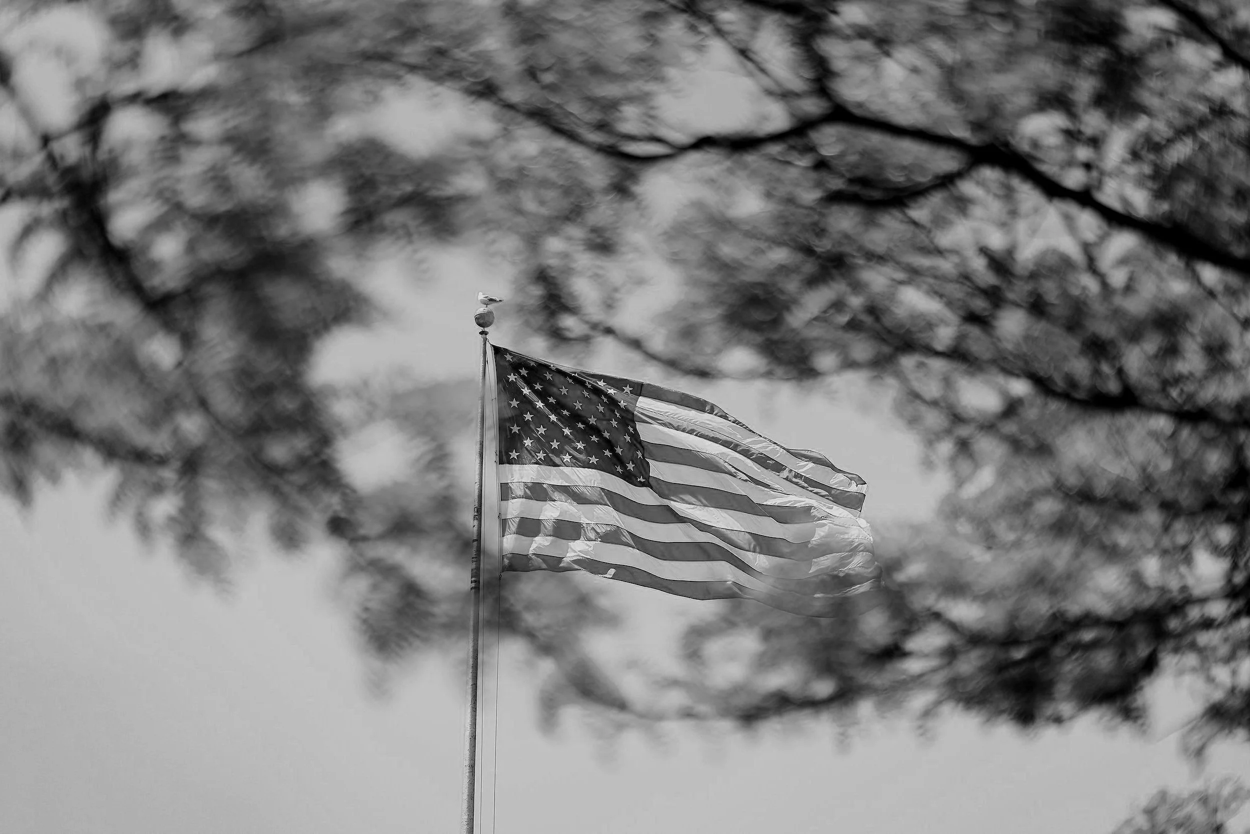 Election Day 2022 and Your Business