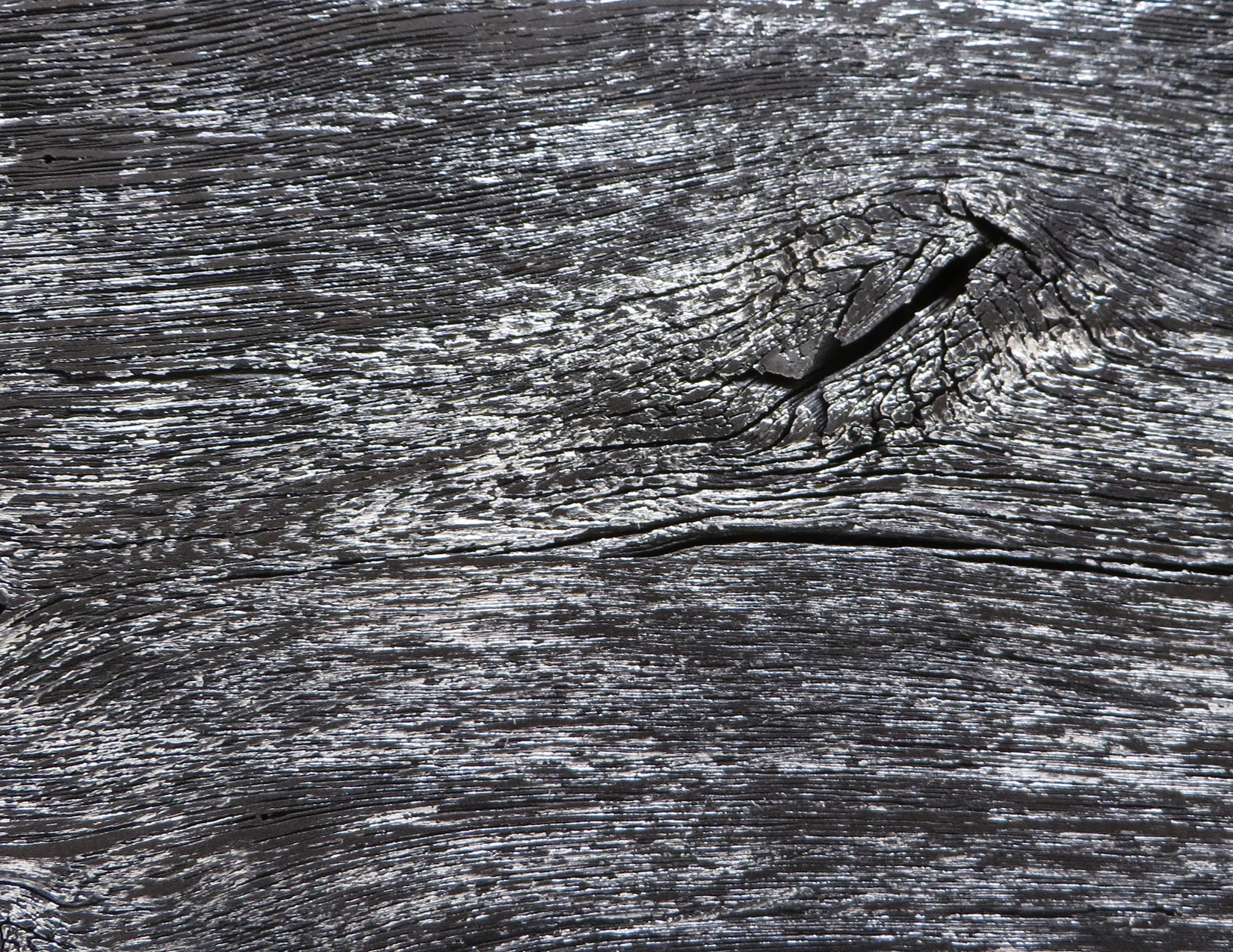 oak - 30043.1