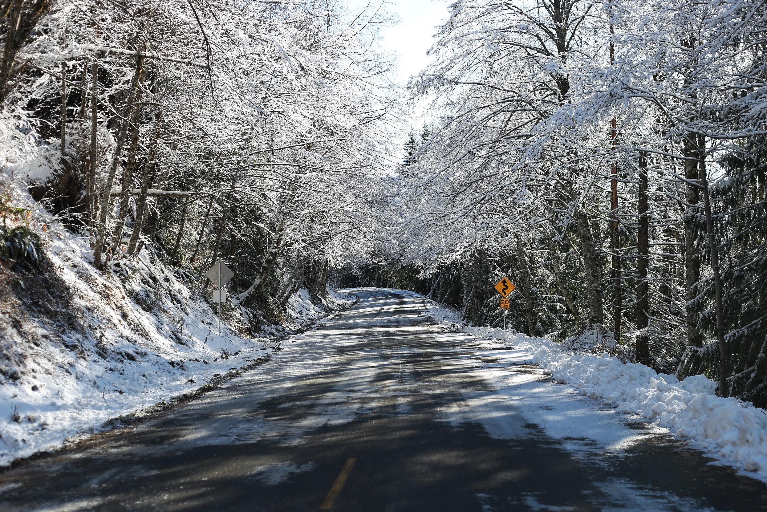 drivingMtStHelens.jpg