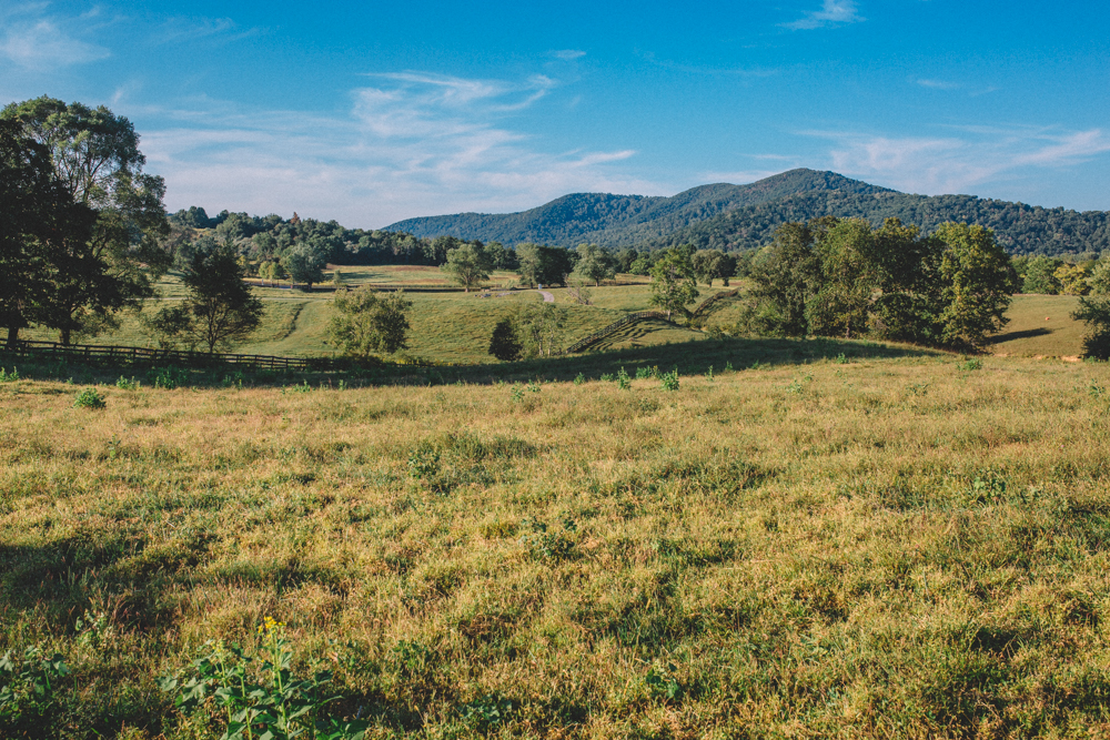 Sam_Stroud_Photography_Wedding_Photography_Marriott_Ranch_Virginia.jpg-35.jpg