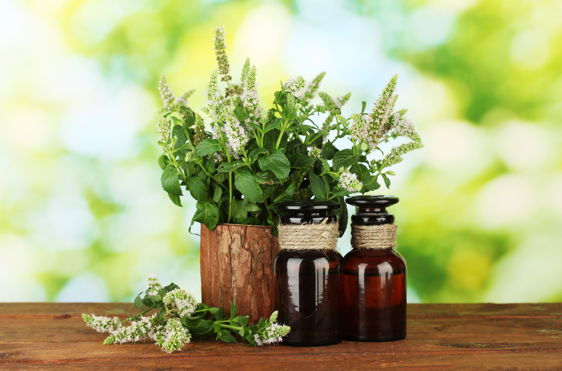 essential oil-Fotolia_44056502_L.jpg