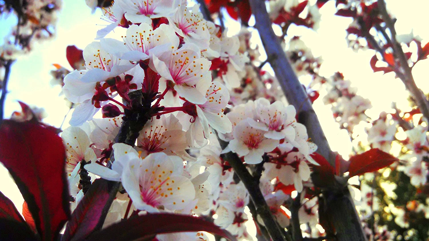 springstuff 106.jpg