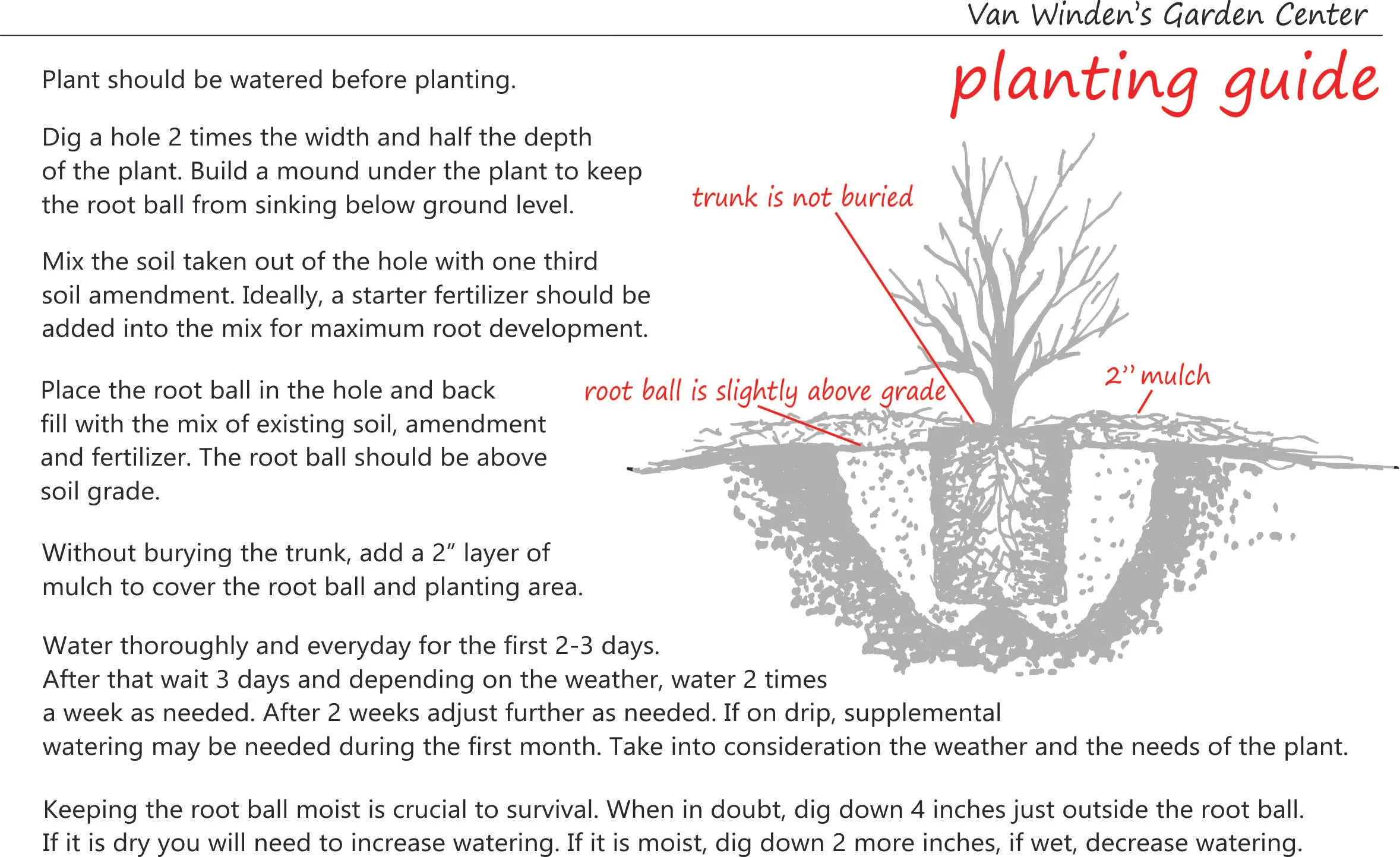 planting guide single.jpg