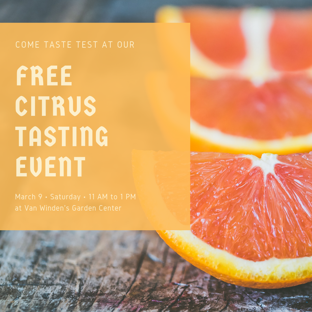 FRee Citrus tasting event.png