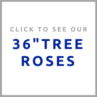 tree roses (1).png