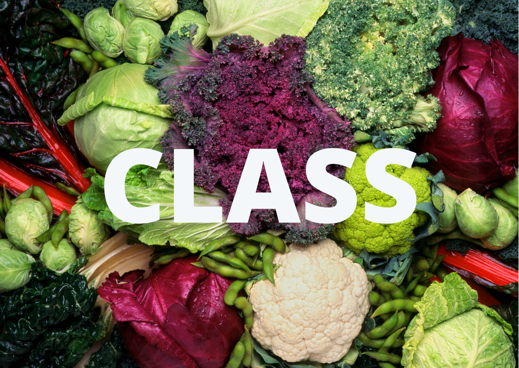 CLASS: Growing Winter Veggies
