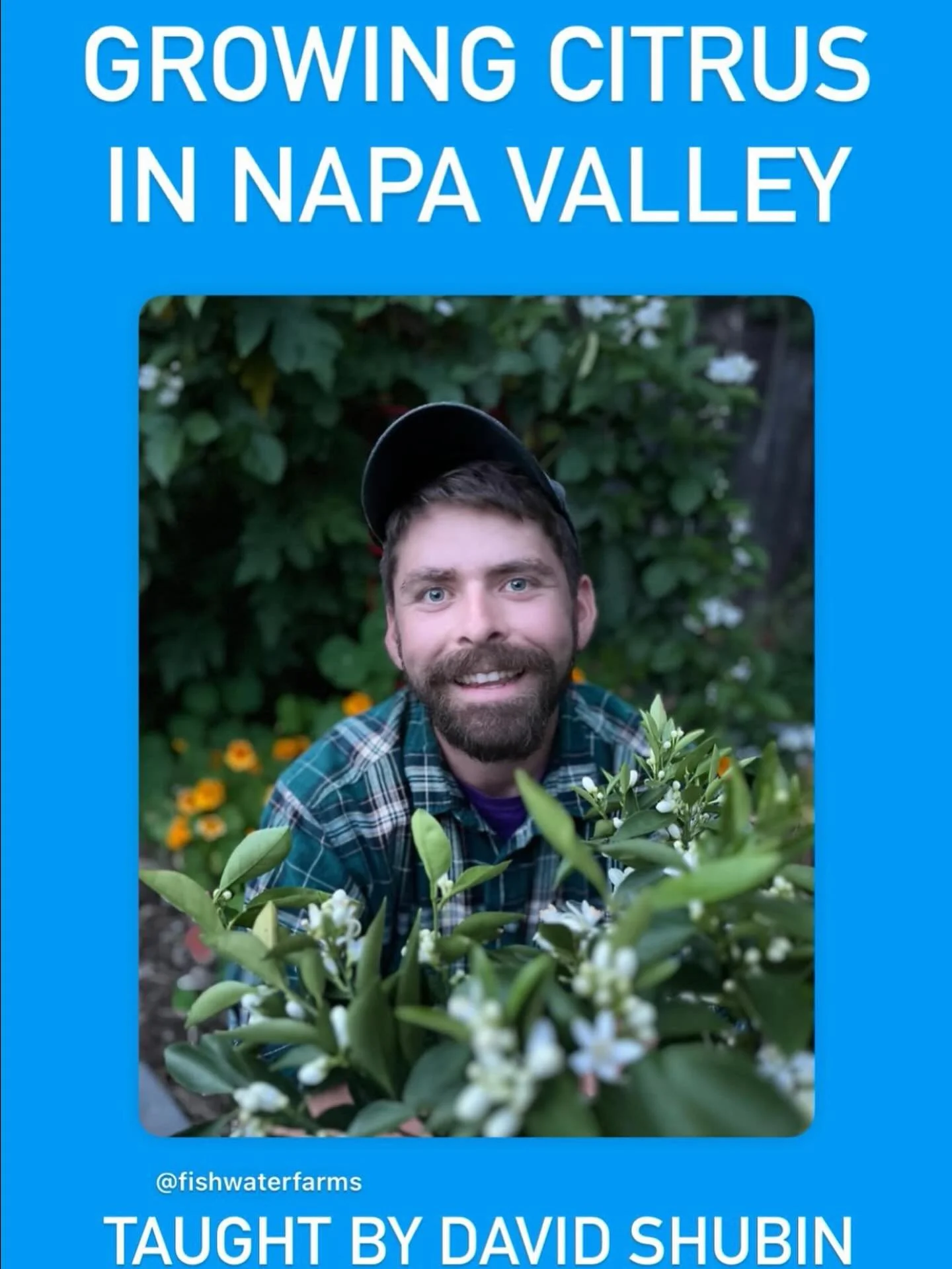 CLASS: 9/28 Growing Citrus in Napa Valley with David Shubin, ISA Certified Arborist. You may recognize him from Van Winden&rsquo;s where he shared his knowledge with us for more than six years. He&rsquo;s back to talk citrus! If you are curious about